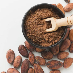 alkalized cocoa powder in india