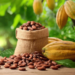 best organic cocoa powder in india