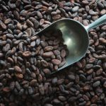 Close-up of raw cocoa beans showing their natural texture