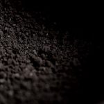 Alkalized cocoa powder