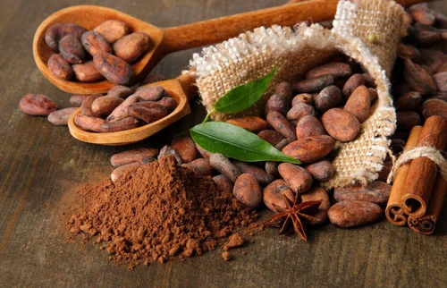 Top Cocoa Powder Suppliers in India: A Growing Market for Quality Cocoa